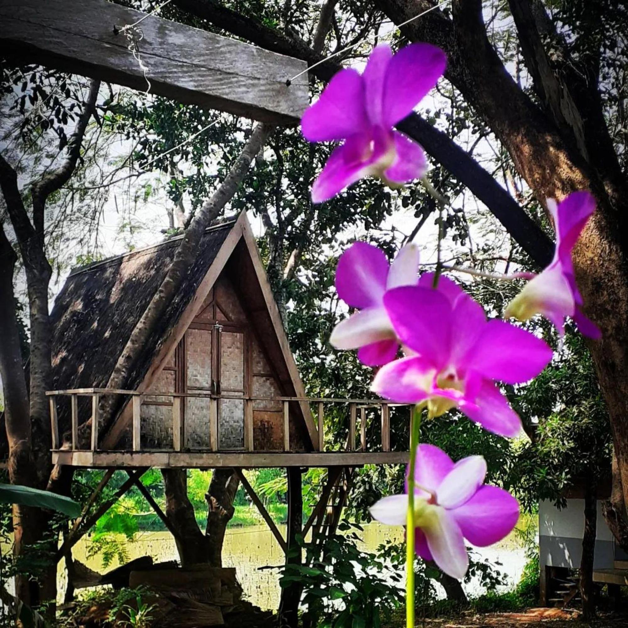 Fandee Island Treehouses & Ziplines - Tad Lo, Bolaven Loop Pakse Ban Kiangtat Exterior foto